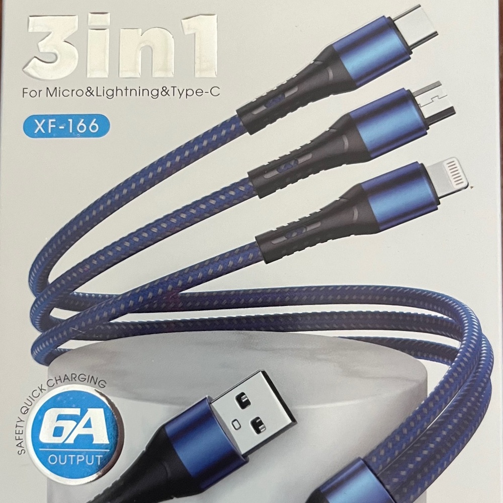 3-1 Fast Charger